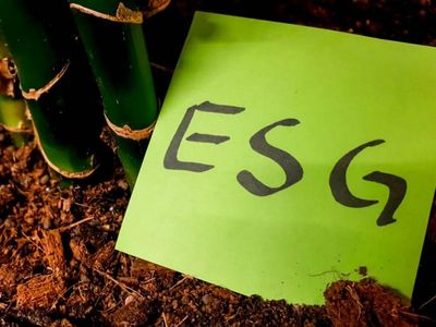 Navigating China's New ESG Disclosure Guidelines