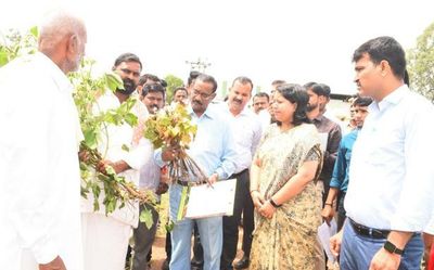Central team visits Yadgir district to assess rain damage