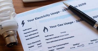 Ofgem to continue announcing energy price cap every three months despite new plan for bills