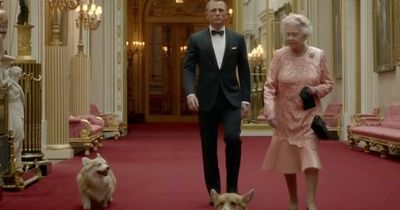 What will happen to the Queen’s corgis now?