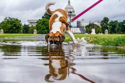 Photos of the week ending September 9, 2022 - Roll Call