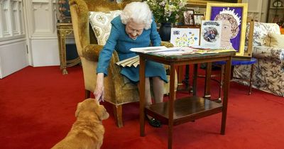 What happens to the Queen's corgis after her death?