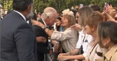 Royal fan gushes after being caught on camera kissing 'perfect' King Charles III