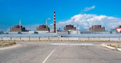 Ukraine's Zaporizhzhia plant 'needs safe zone to avoid nuclear disaster'