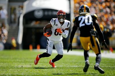 Steelers vs Bengals: What to expect when the Steelers are on defense