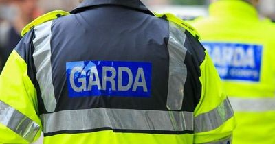 Man, 20s, arrested as gardai seize knives, pellet guns and a firearm in Cork