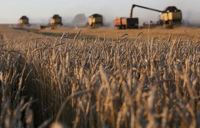 U.S. working with U.N. on Russia food, fertilizer export complaints