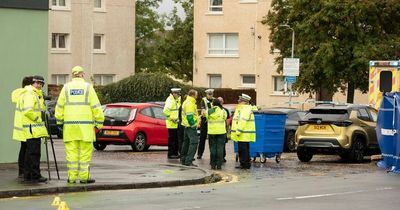 Pensioner, 83, dies after being hit by lorry on Scots road