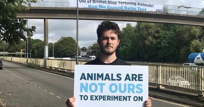 Animal rights campaigners drop banner over M32 in Bristol Uni protest