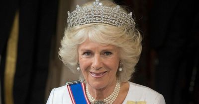 What does the role of Queen Consort involve and how will Camilla's royal life change?