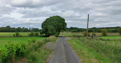 Gardaí investigating 'all circumstances' after the deaths of two children in fatal car fire in Westmeath