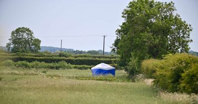 Skull found in duck pond turns out to be of a Roman and almost 2,000 years old