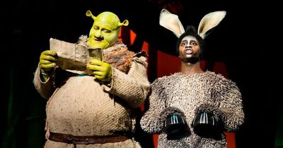 Shrek the Musical grant funding blow after £54,000 projection at Kilmarnock theatre