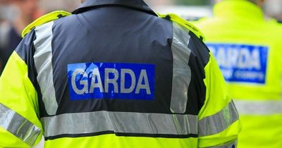 Two children dead after car fire in Ireland