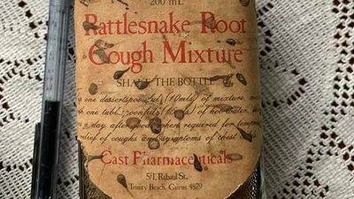 Rattlesnake Root cough mixture bottle leads to fascinating Cairns historical discovery
