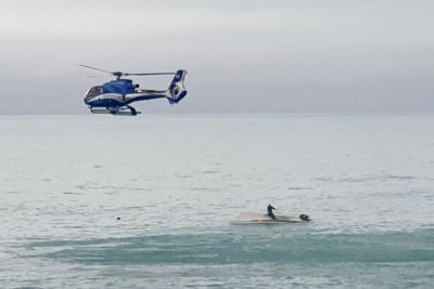 Five dead after New Zealand boat in suspected impact with whale