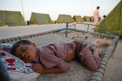 ‘I have never seen so many cases’: Volunteer doctors tackle horror of Pakistan flooding aftermath