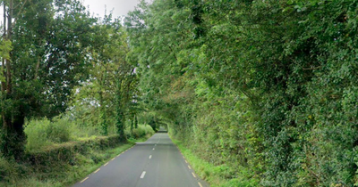 Man, 20s, dies following horror crash in Co Clare as gardai appeal for witnesses