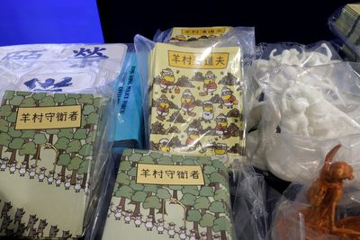 Five Hong Kong speech therapists jailed for conspiracy to "brainwash" children with cartoons