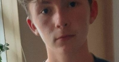 Nottinghamshire Police appeal for help to find missing 15-year-old Dylan Young