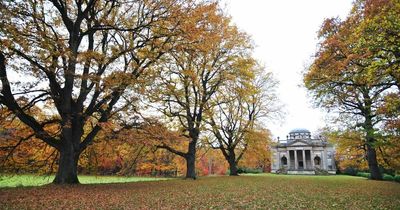 Five stunning National Trust walks to take in the North East this autumn