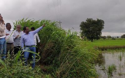 Central team visits Belagavi district; rain loss put at ₹355 crore