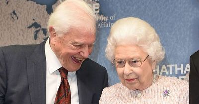 Queen and David Attenborough's sweet friendship over years - full of 'precious' laughter