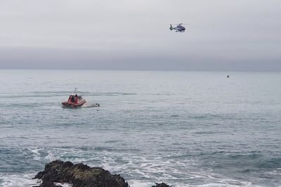 A boat capsized in NZ after a possible collision with a whale. 5 people are dead