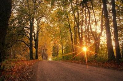 Fall Equinox 2022: Date, time, and opportunities for astronomy during this yearly event