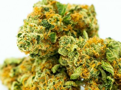Are Orange Hairs On Cannabis Related To Potency?