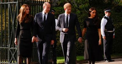 Prince William personally invited Harry and Meghan to join them for Windsor walkabout