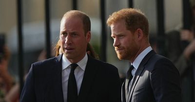 Prince Harry and William have touching exchange before going off in different directions