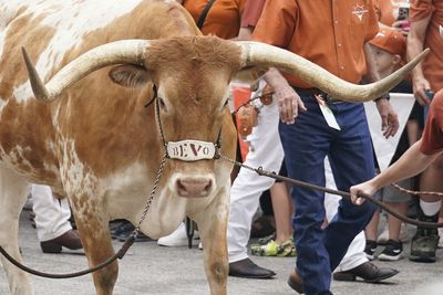 Texas fan rides longhorn with puppy in his lap to Alabama game