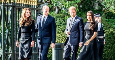 Prince William, Prince Harry, Meghan Markle and Princess of Wales appear publicly together