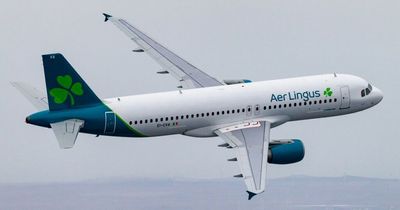 Aer Lingus says its systems are restored after cancelling 51 UK and European flights