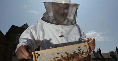 Bizarre tradition means royal beekeeper must inform palace bees Queen Elizabeth II has died