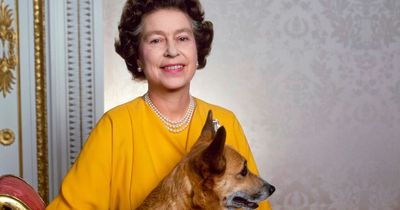 Queen was 'world-famous dog lover' who showed 'love and affection' for her pets