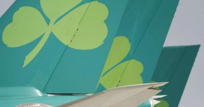 Aer Lingus fix systems after 51 flights cancelled at Dublin Airport - here's what you need to do if yours was one