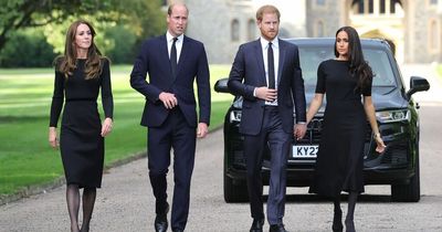 Prince William and Harry put royal rift aside as they reunite for Windsor walkabout