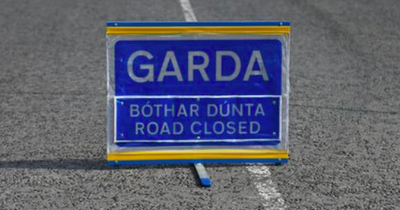 Garda probe into car fire deaths continue as post mortems on children completed