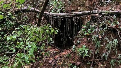 Frank Teodo shares the family story behind the secret cave on his Cairns sugarcane farm