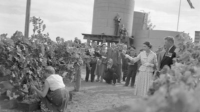 Remembering Queen Elizabeth II's visit to Red Cliffs and her 5,000kg of dried fruit