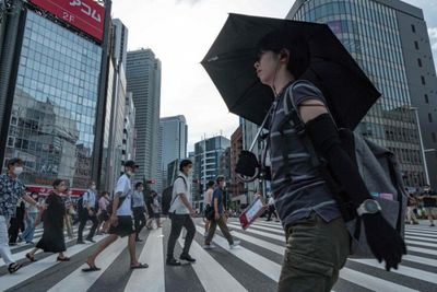 Japan to remove entry cap in 'not-so-distant future'