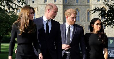 William and Harry haven't reconciled but Meghan will keep thoughts to herself, says expert