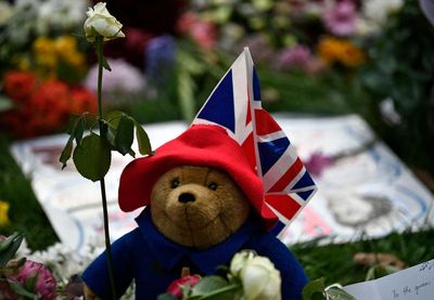 Well-wishers told not to bring teddy bears or balloons to Queen floral tributes