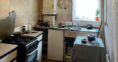 Stark reality of UK's housing crisis laid bare with mould, fly tipping and pest infestations