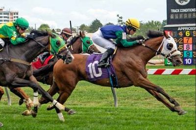 Horse bred by Queen Elizabeth wins race just days after monarch’s death