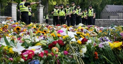 Why sunflowers are being left in tribute to The Queen