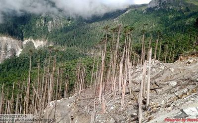 Arunachal villagers fight to save sacred forest from BRO road project
