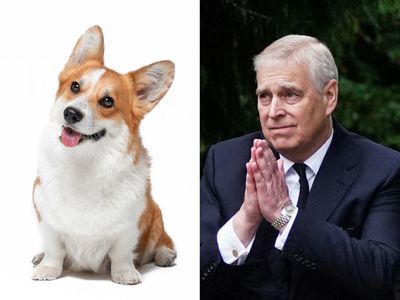 Prince Andrew and Sarah Ferguson to take the Queen’s corgis